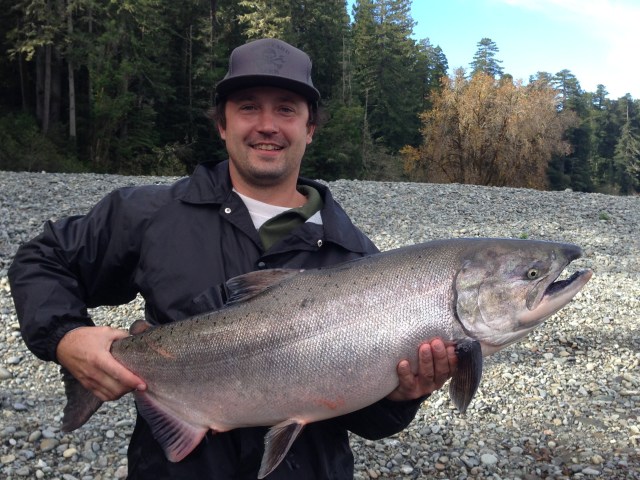 Covelo resident Ryan Aylsworth landed this nice Smith River salmon earlier this week while fishing with Mike Coopman's Guide Service. The big king tipped the scales at 36-pounds. 
