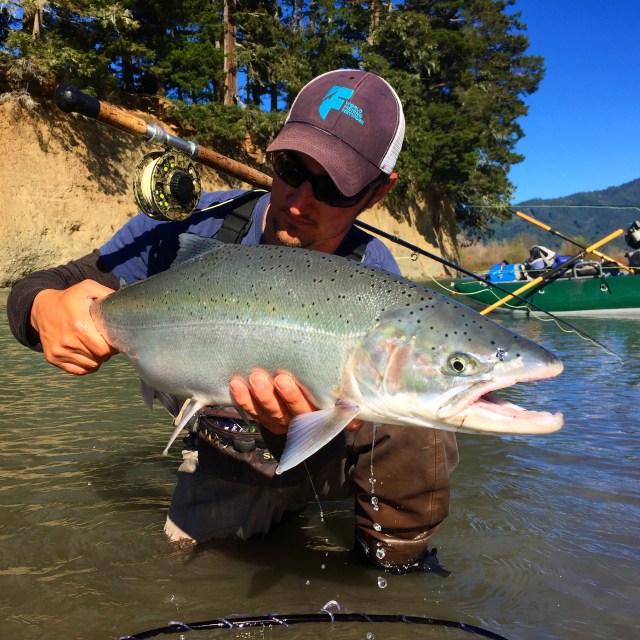 Chico resident Nick Hanna landed this nice Van Duzen steelhead Sunday while fly fishing the lower river. Photo courtesy of Evan Oetinger