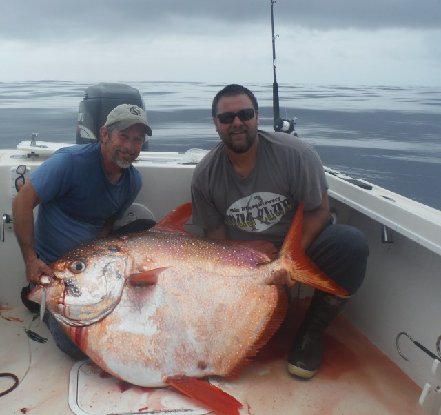After an hour and 15-minute battle, Chuck Chastain, pictured left, landed this 114-pound Opah on Tuesday while tuna fishing 75 miles west of Eureka. Chastain was fishing with Captain Marc Schmidt, pictured right, of Coastline Charters. Opahs are typically found in the warm waters off Hawaii and are rarely caught by sport anglers. The meat is said to be rich and tasty and highly sought after, especially in the restaurant trade. Photo courtesy of Marc Schmidt/Coastline Charters