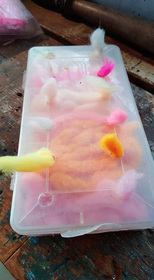 12373299_10208081055413998_2174327516101467708_n