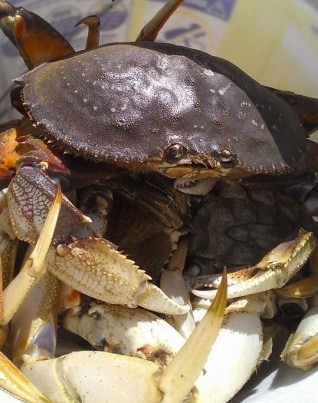 Fishing the NC 11_1 photo